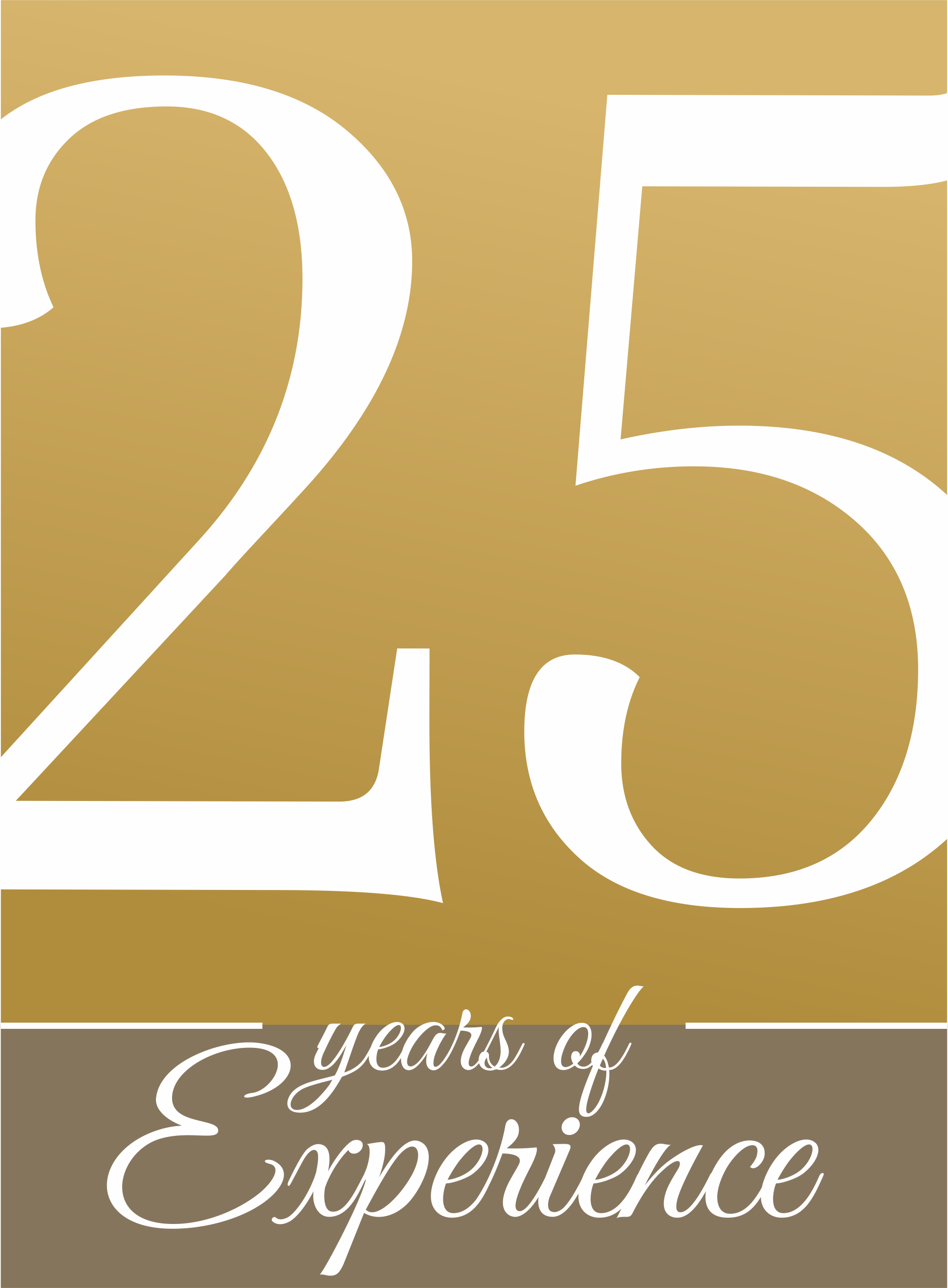 25-lat-bolix-logo-en